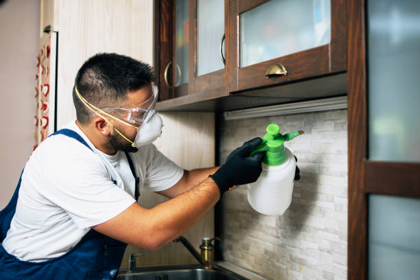Best Pest Prevention Services  in Apison, TN