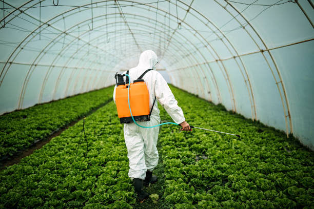 Best Pest Control for Businesses  in Apison, TN