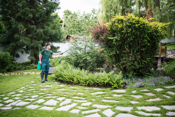 Best Wasp Removal Services  in Apison, TN