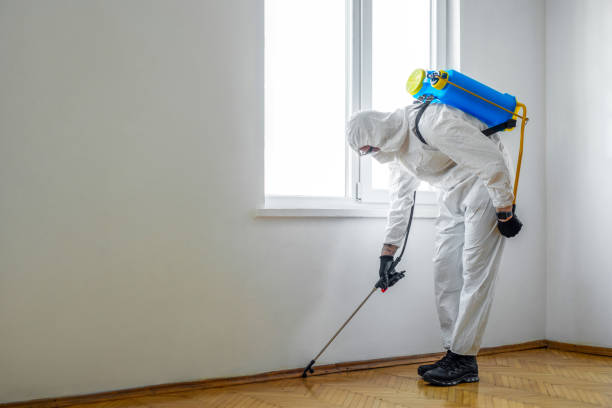 Best Mosquito Control Services  in Apison, TN