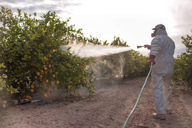  Apison, TN Pest Control Pros