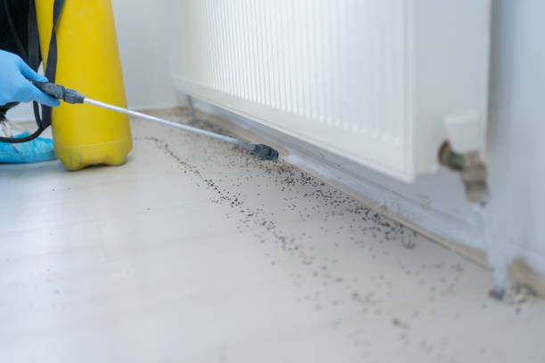 Professional Pest Control in Apison, TN