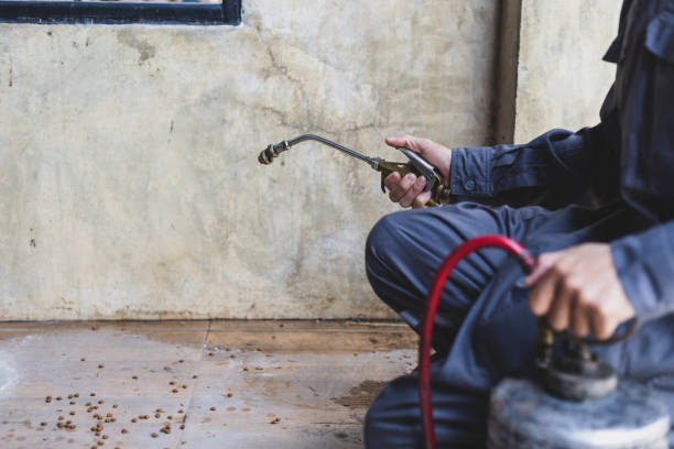 Best Best Pest Control Companies  in Apison, TN